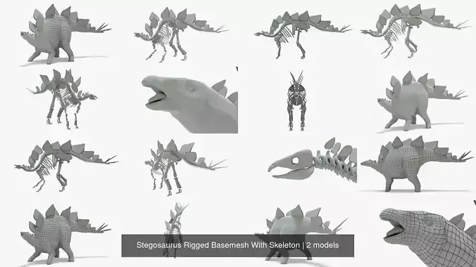 Stegosaurus Rigged Basemesh With Skeleton