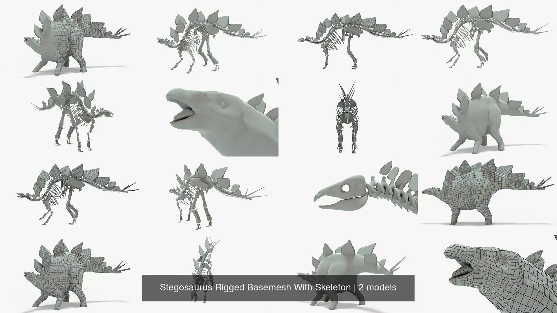 Stegosaurus Rigged Basemesh With Skeleton 3D Model Collection_1