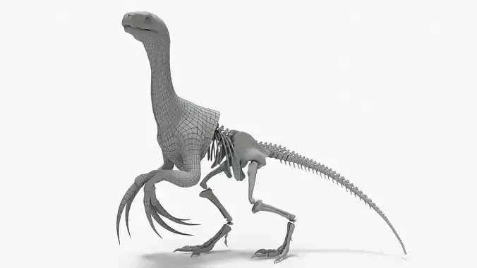 Therizinosaurus Rigged Basemesh With Skeleton 3D Model Collection
