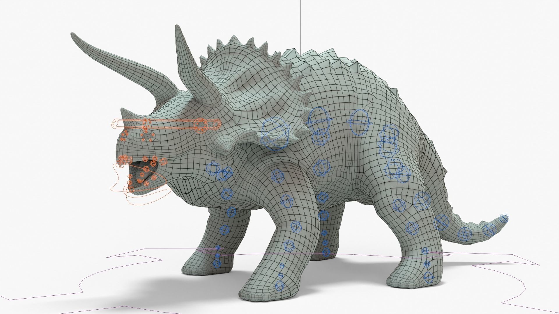 Triceratops Rigged Basemesh With Skeleton 3D Model Collection_24