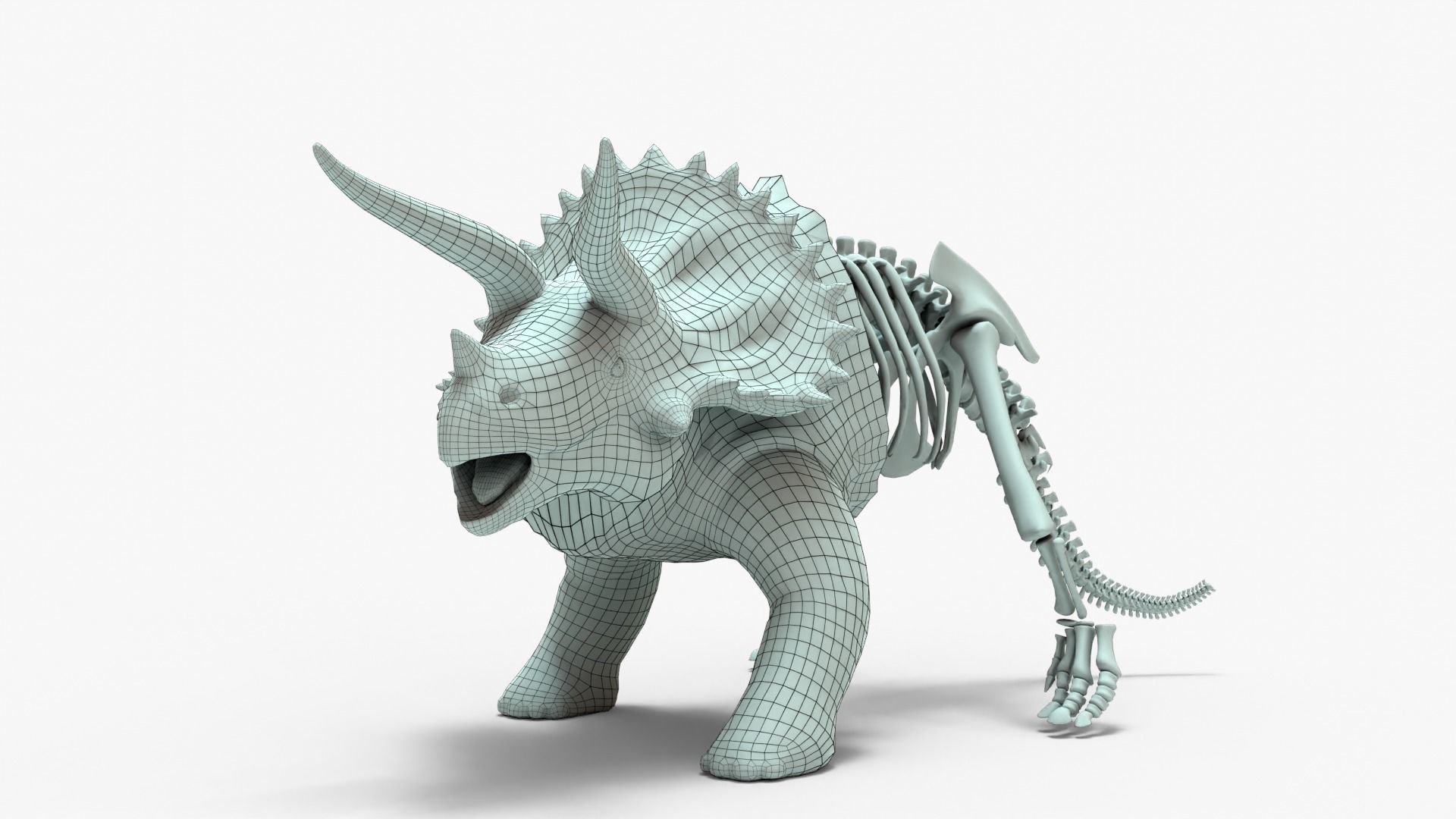 Triceratops Rigged Basemesh With Skeleton 3D Model Collection_2