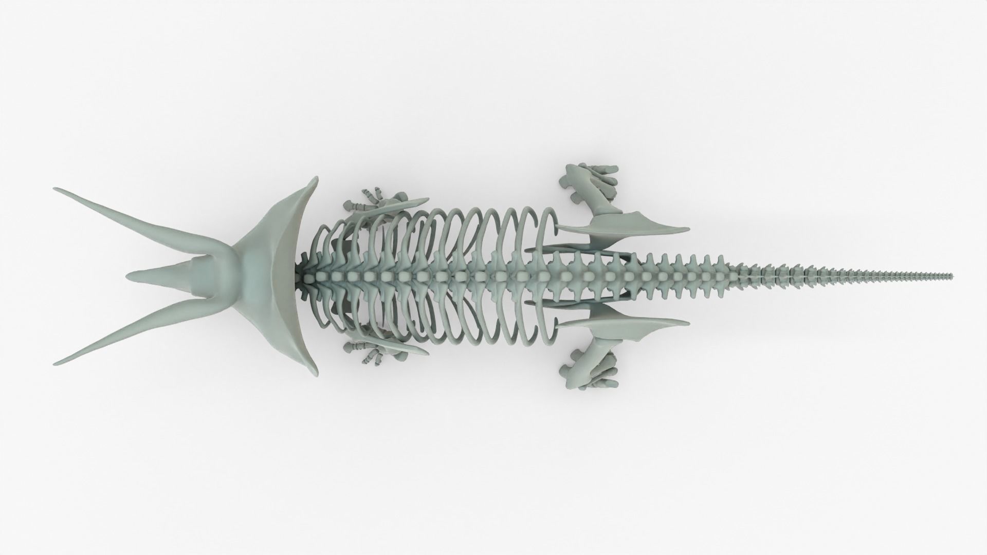 Triceratops Rigged Basemesh With Skeleton 3D Model Collection_15