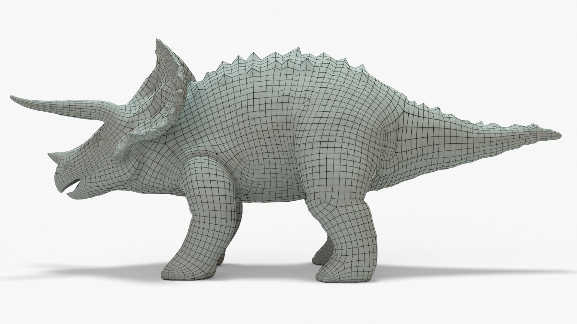 Triceratops Rigged Basemesh With Skeleton 3D Model Collection_8
