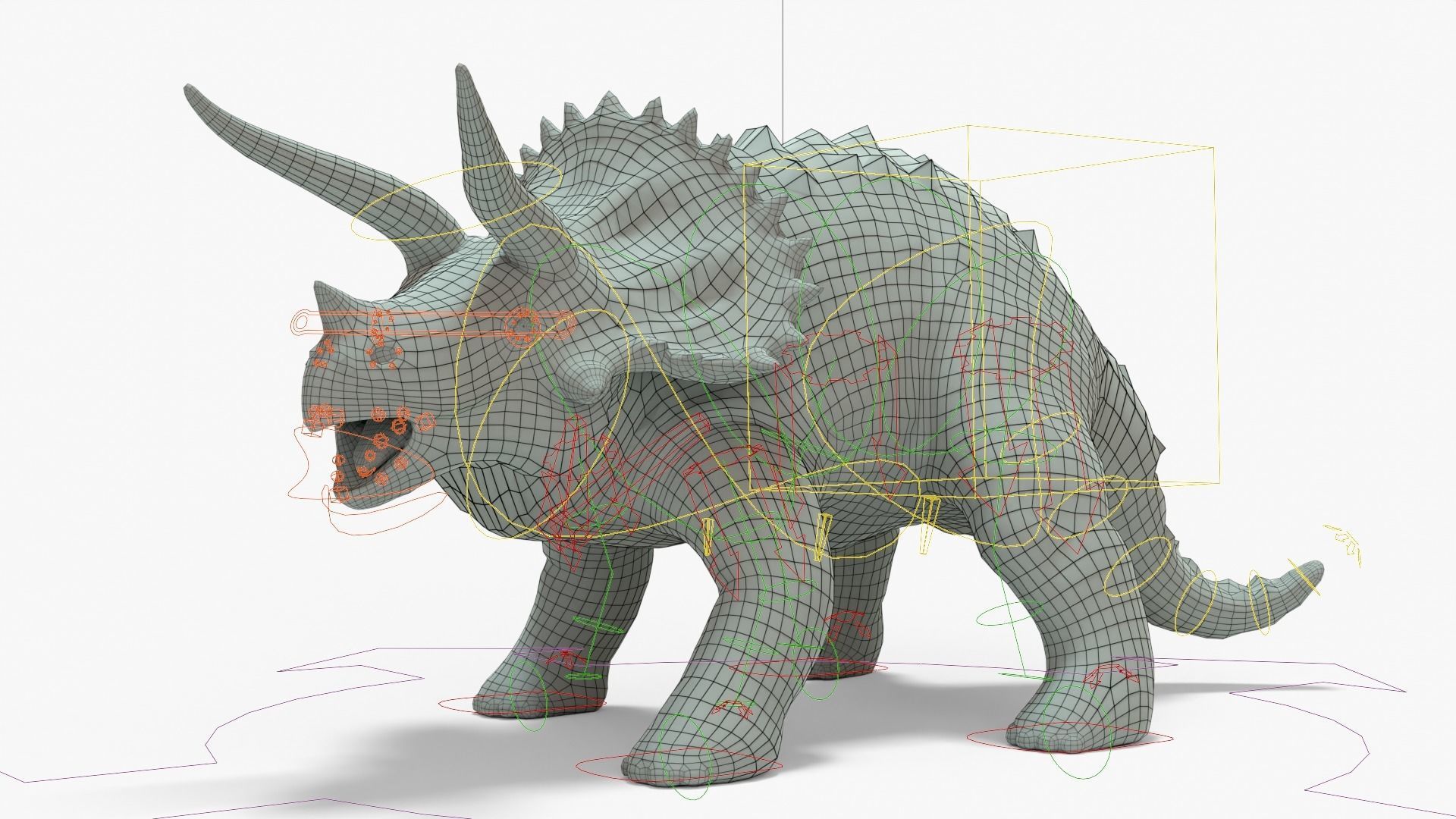 Triceratops Rigged Basemesh With Skeleton 3D Model Collection_22