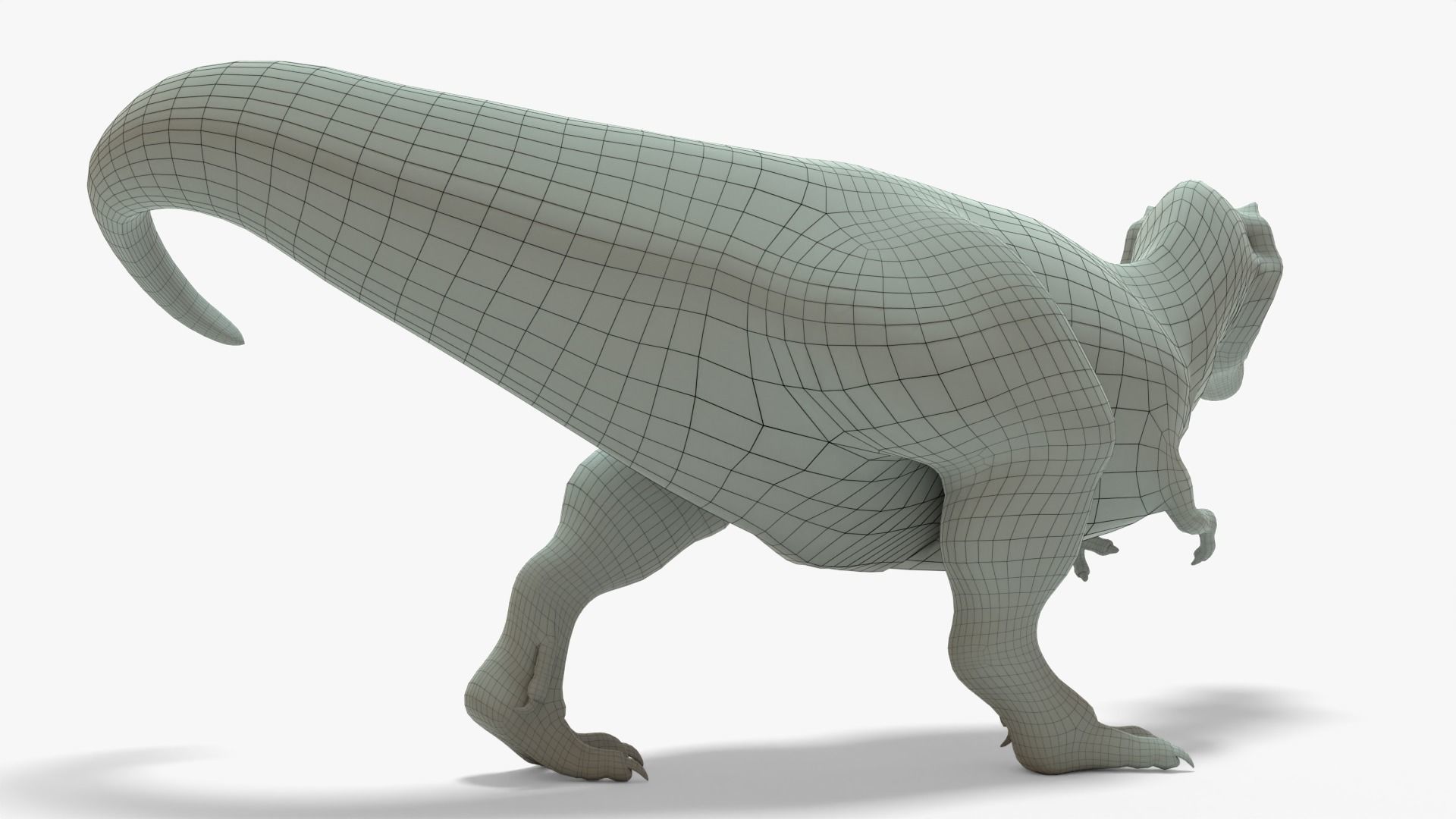 Tyrannosaurus Rex Rigged Basemesh With Skeleton 3D Model Collection_9