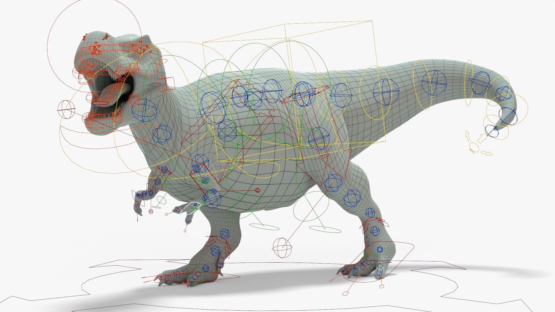 Tyrannosaurus Rex Rigged Basemesh With Skeleton 3D Model Collection_23