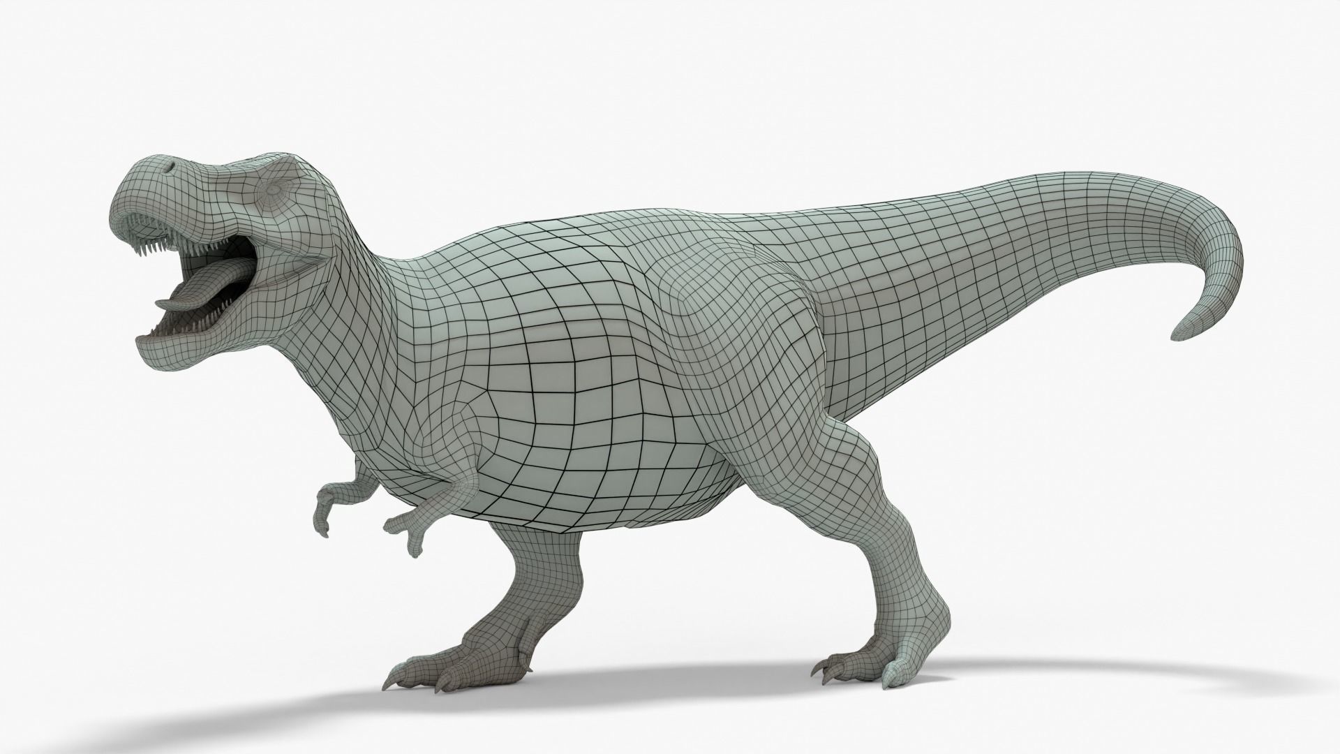 Tyrannosaurus Rex Rigged Basemesh With Skeleton 3D Model Collection_12