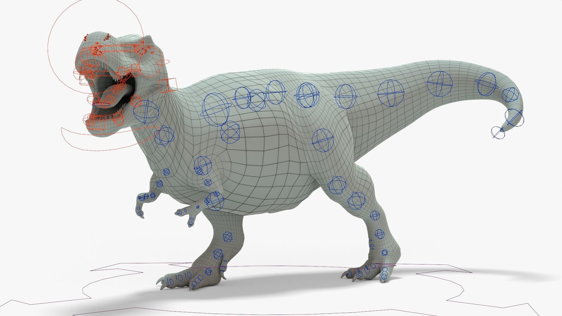 Tyrannosaurus Rex Rigged Basemesh With Skeleton 3D Model Collection_21