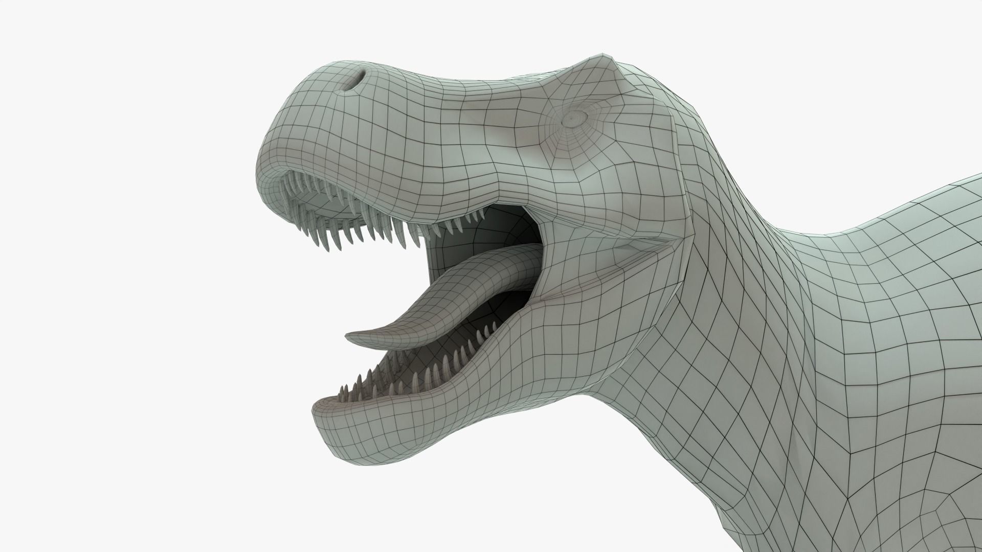 Tyrannosaurus Rex Rigged Basemesh With Skeleton 3D Model Collection_10