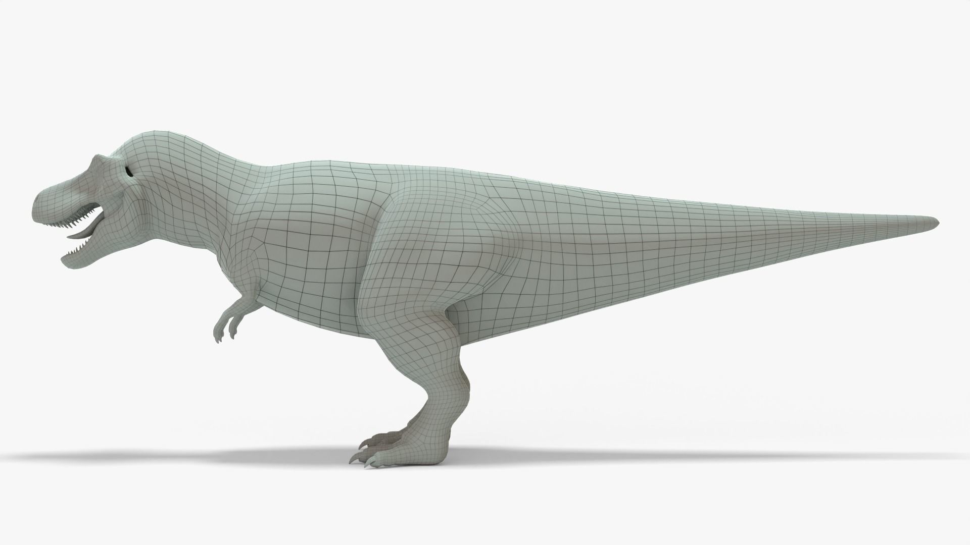 Tyrannosaurus Rex Rigged Basemesh With Skeleton 3D Model Collection_15