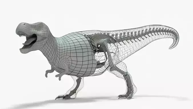 Tyrannosaurus Rex Rigged Basemesh With Skeleton 3D Model Collection
