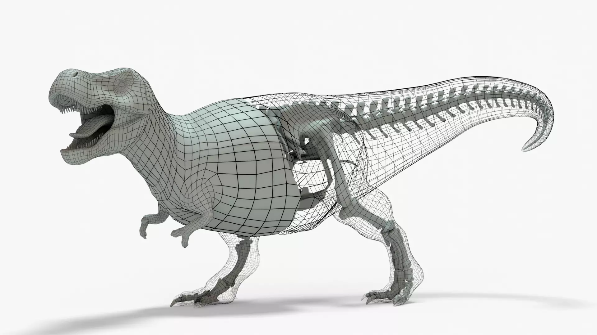 Tyrannosaurus Rex Rigged Basemesh With Skeleton 3D Model Collection_0