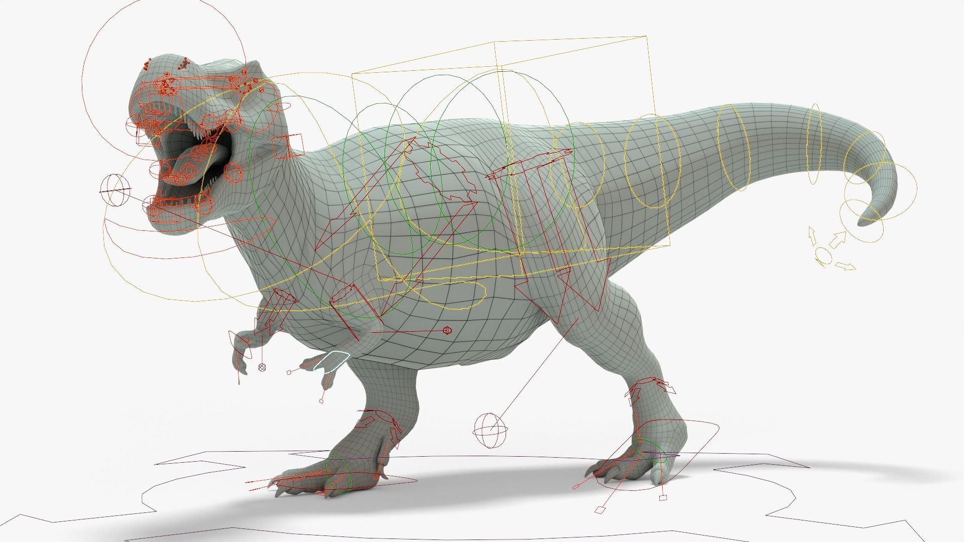 Tyrannosaurus Rex Rigged Basemesh With Skeleton 3D Model Collection_22