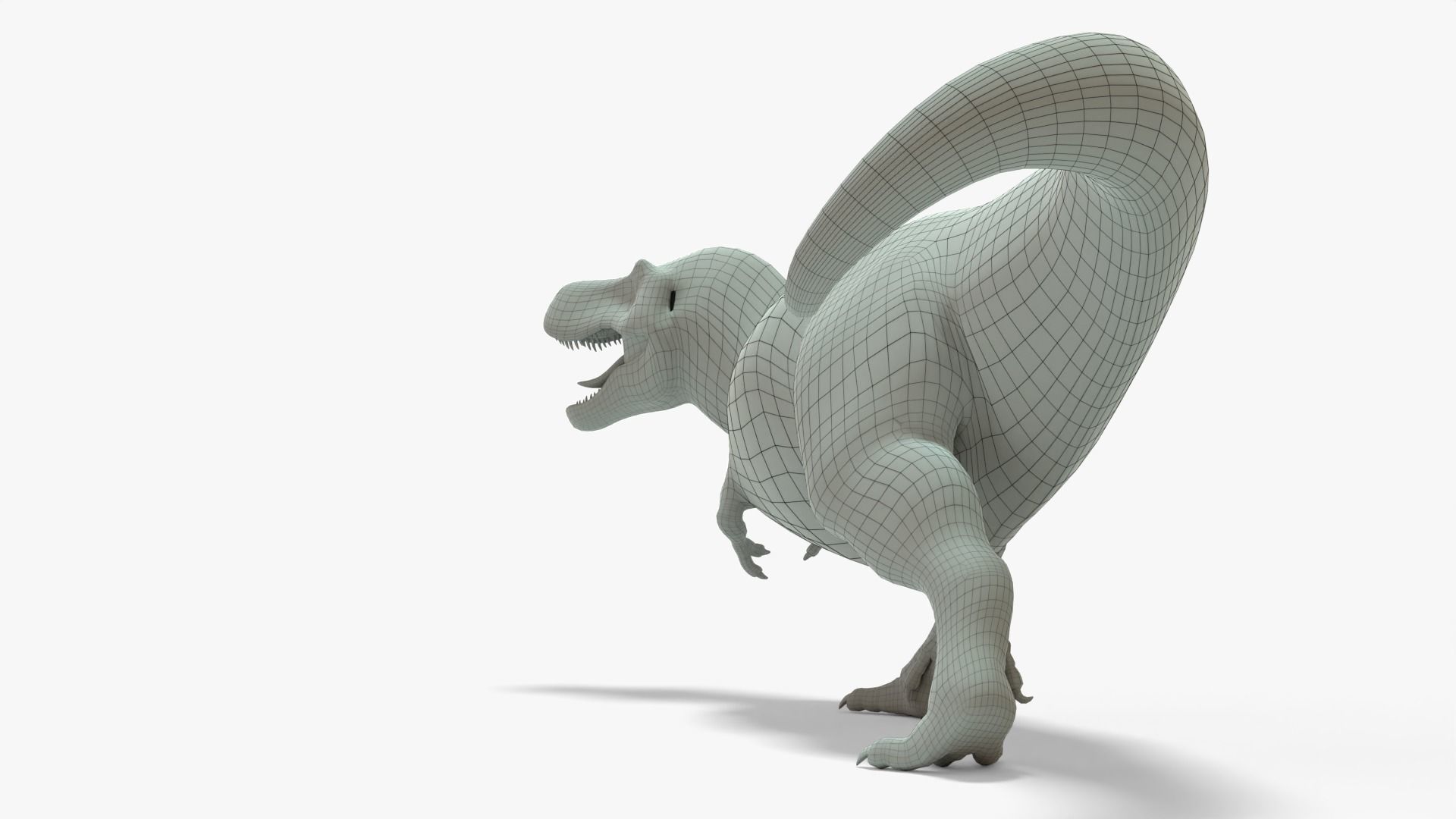 Tyrannosaurus Rex Rigged Basemesh With Skeleton 3D Model Collection_16