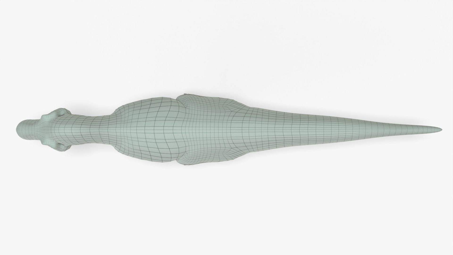 Tyrannosaurus Rex Rigged Basemesh With Skeleton 3D Model Collection_14