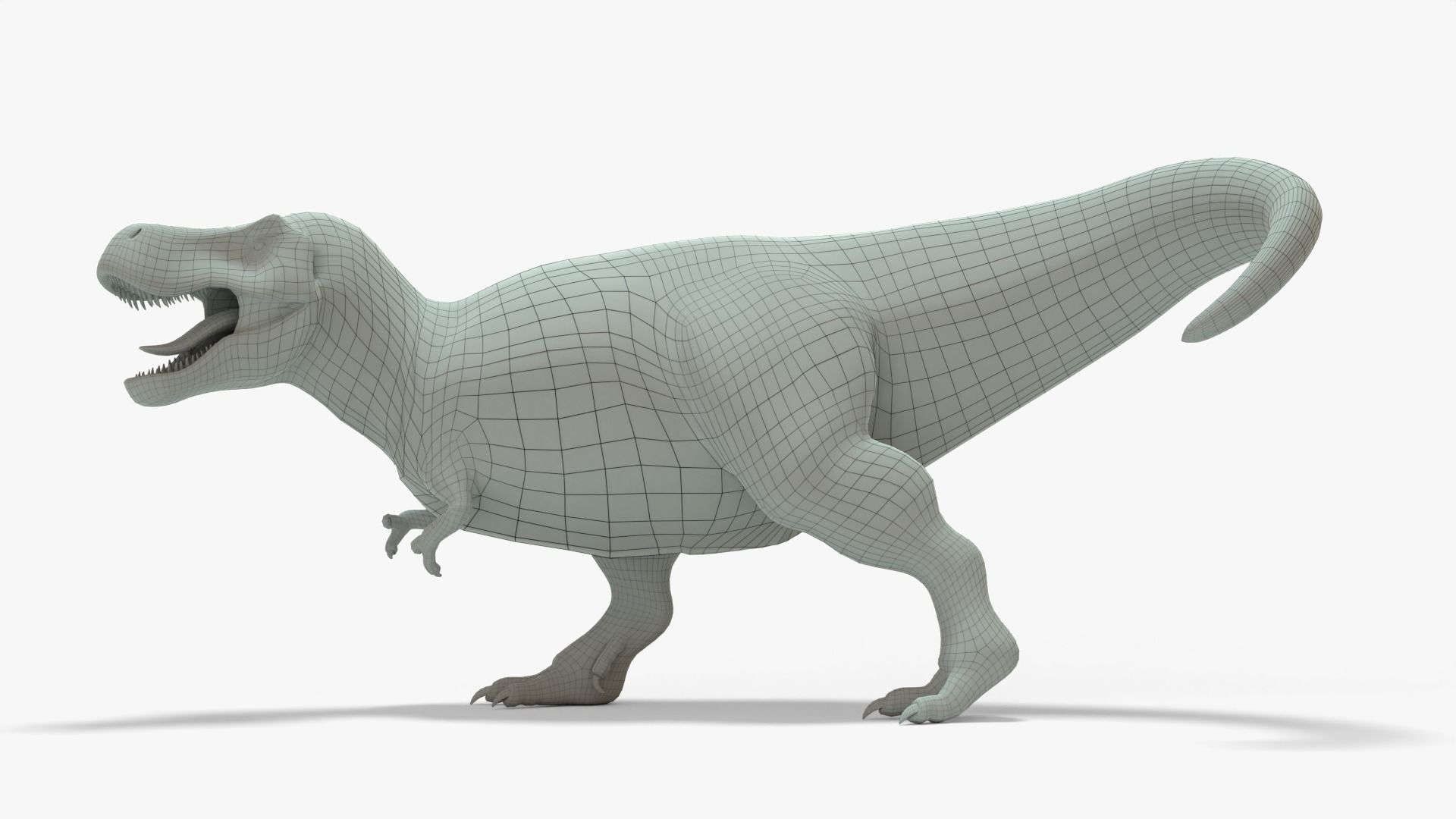Tyrannosaurus Rex Rigged Basemesh With Skeleton 3D Model Collection_2