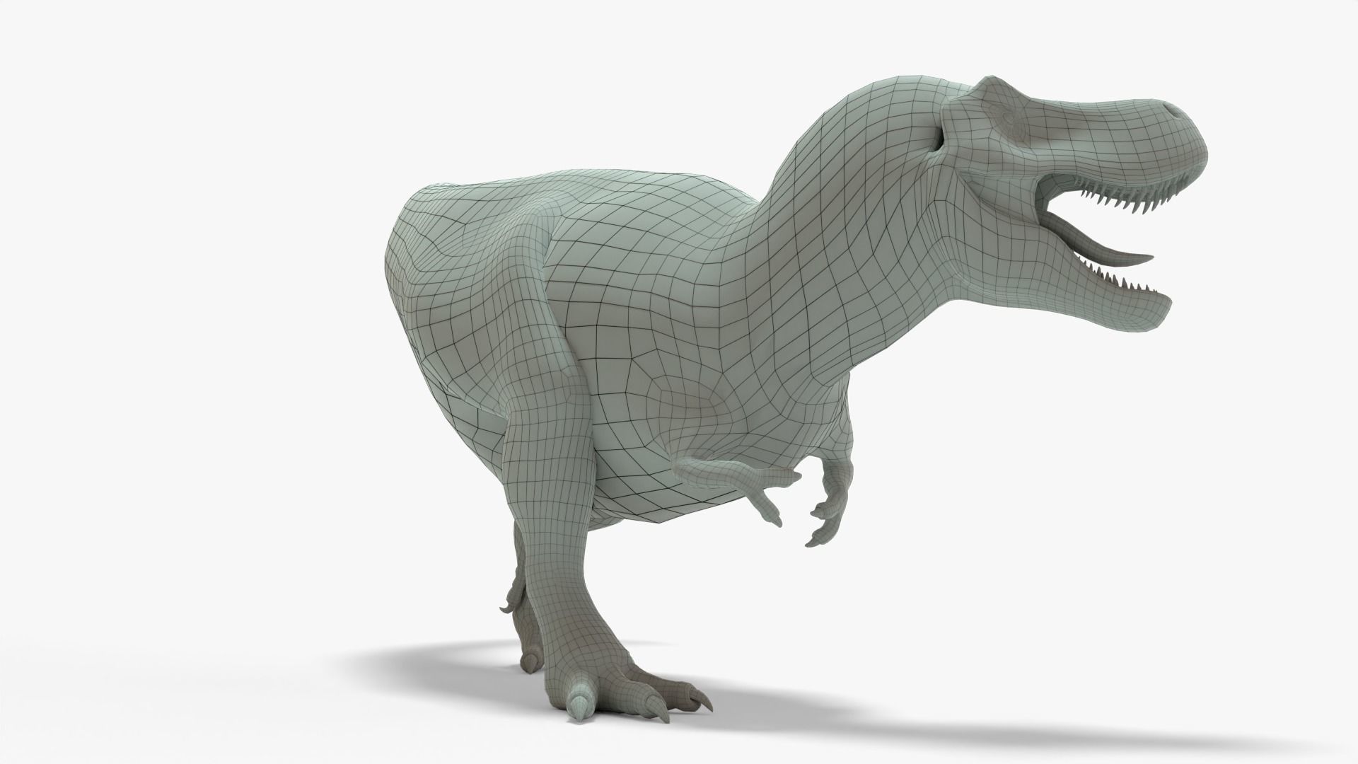 Tyrannosaurus Rex Rigged Basemesh With Skeleton 3D Model Collection_17