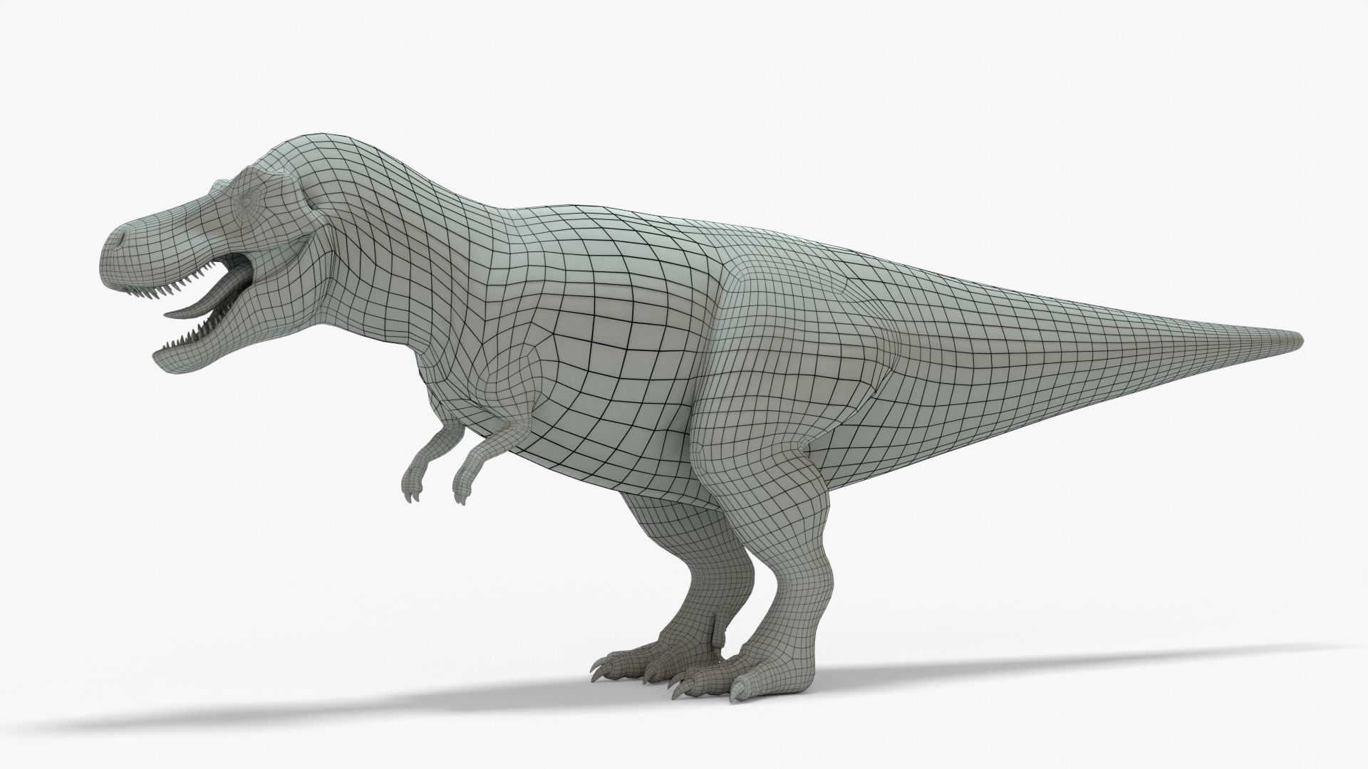 Tyrannosaurus Rex Rigged Basemesh With Skeleton 3D Model Collection_11