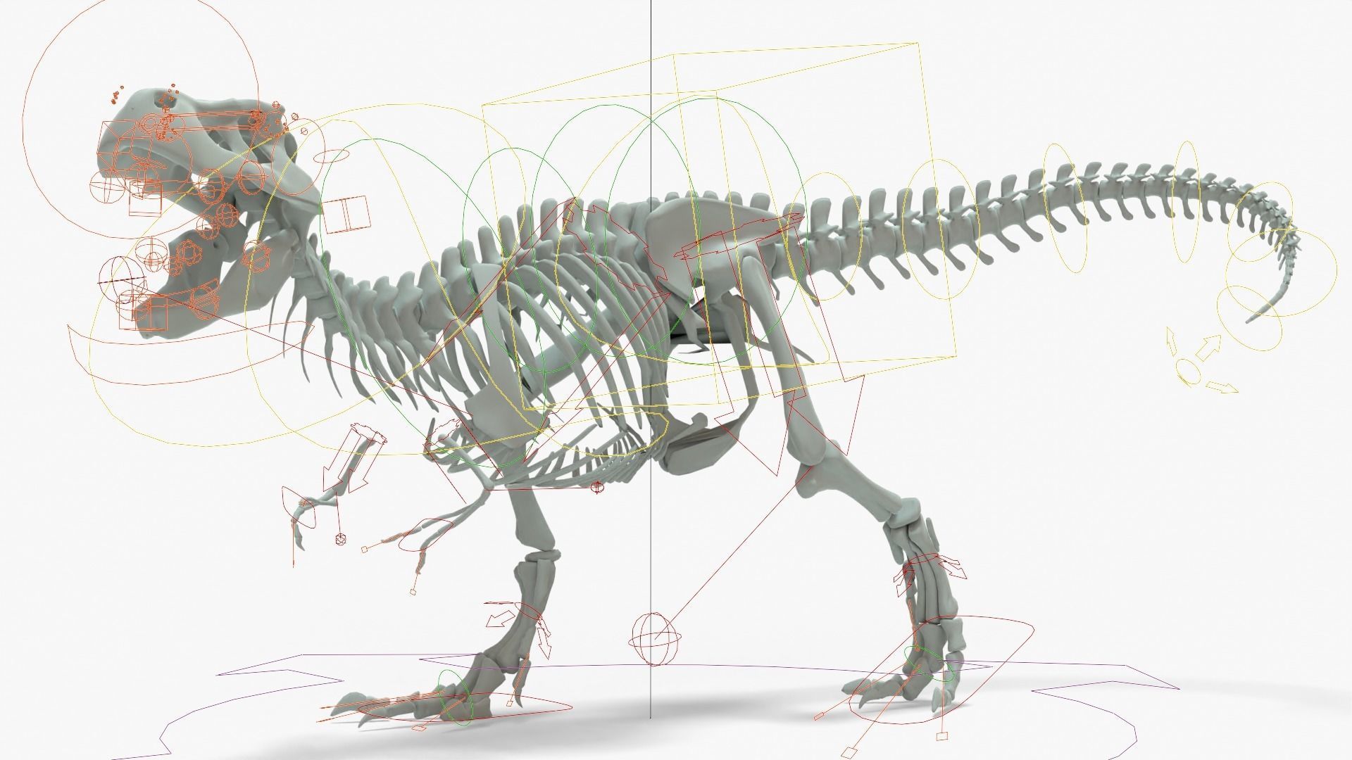Tyrannosaurus Rex Rigged Basemesh With Skeleton 3D Model Collection_26