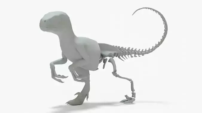 Velociraptor Rigged Basemesh With Skeleton 3D Model Collection