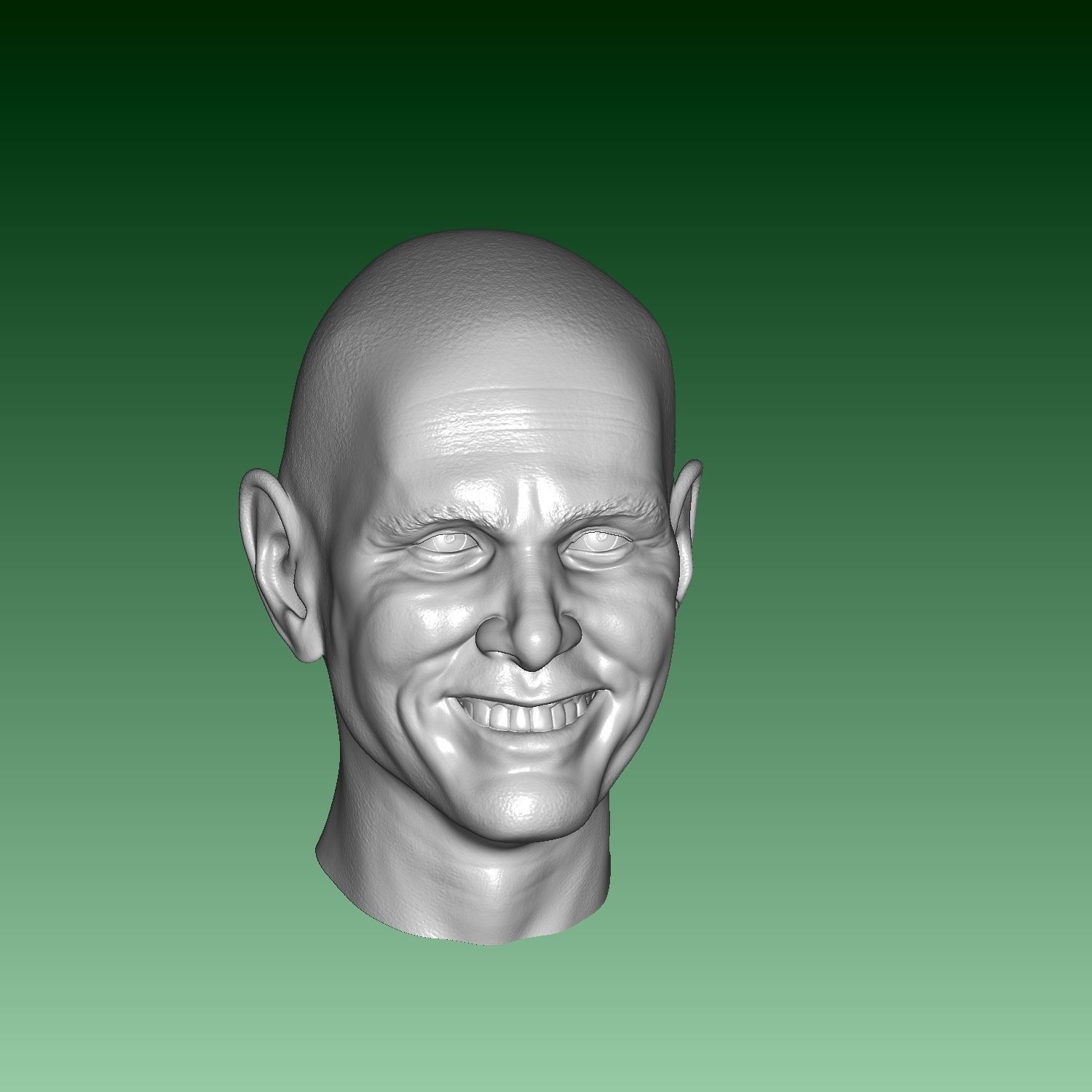 Jim Carrey Ace Ventura Normal and Smiling head  3D print model_8