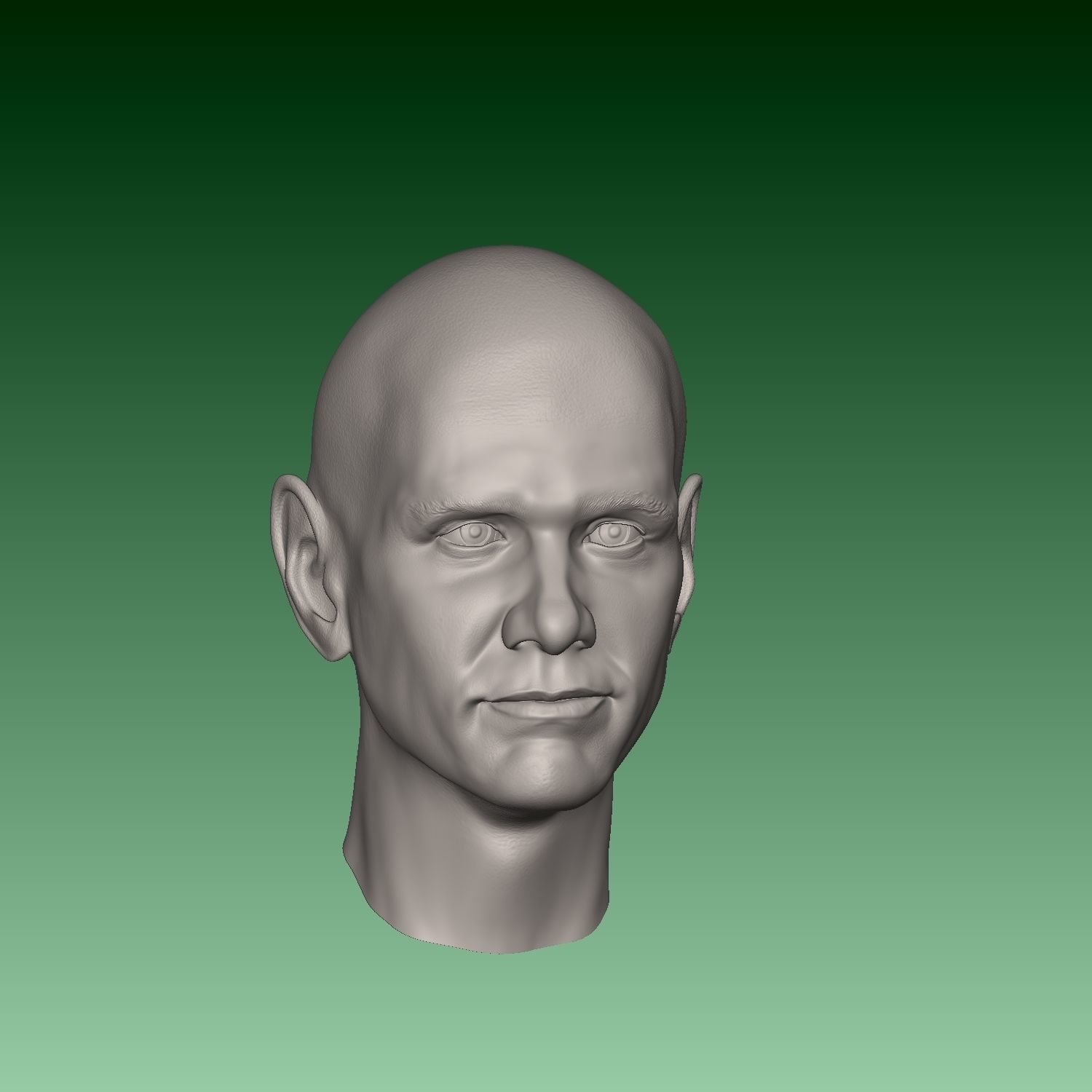 Jim Carrey Ace Ventura Normal and Smiling head  3D print model_9