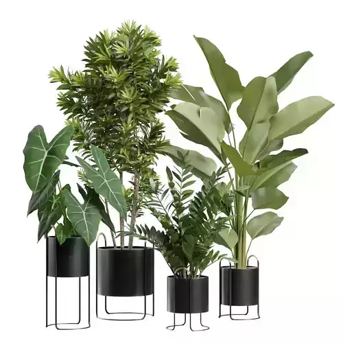 Indoor Plants Pack 67