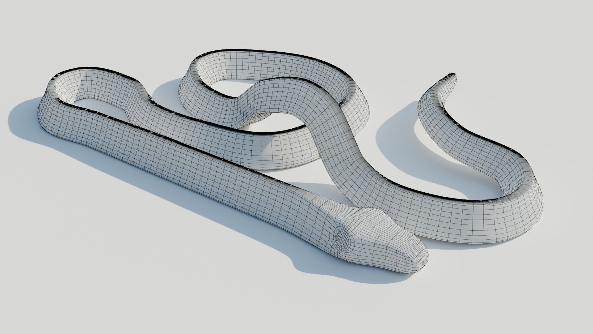 Rigged Banded Krait - Game Ready - PBR Low-poly 3D model_8