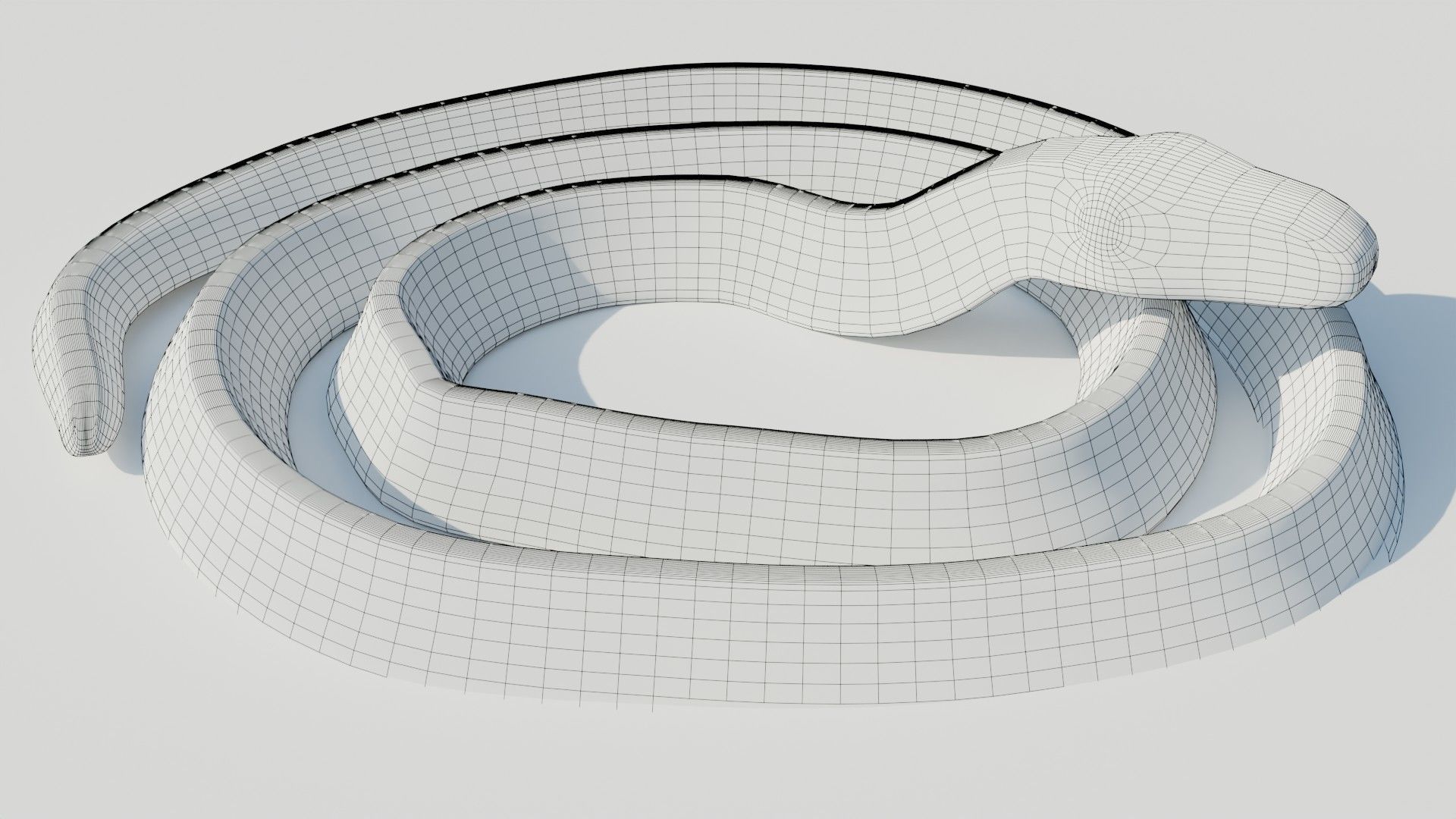 Rigged Banded Krait - Game Ready - PBR Low-poly 3D model_13