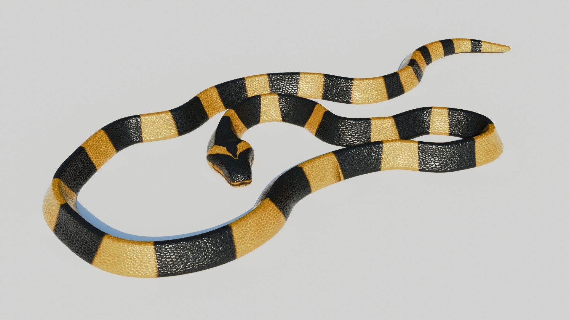 Rigged Banded Krait - Game Ready - PBR Low-poly 3D model_2