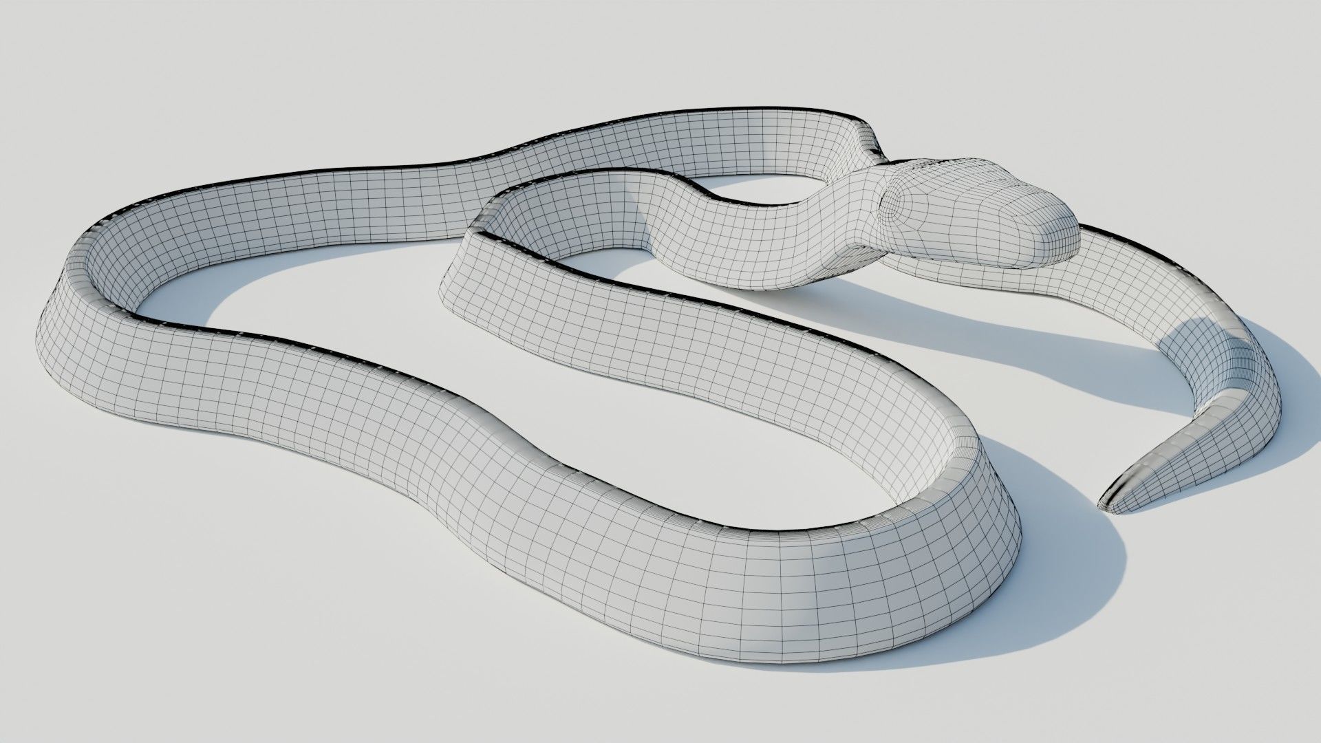 Rigged Banded Krait - Game Ready - PBR Low-poly 3D model_12