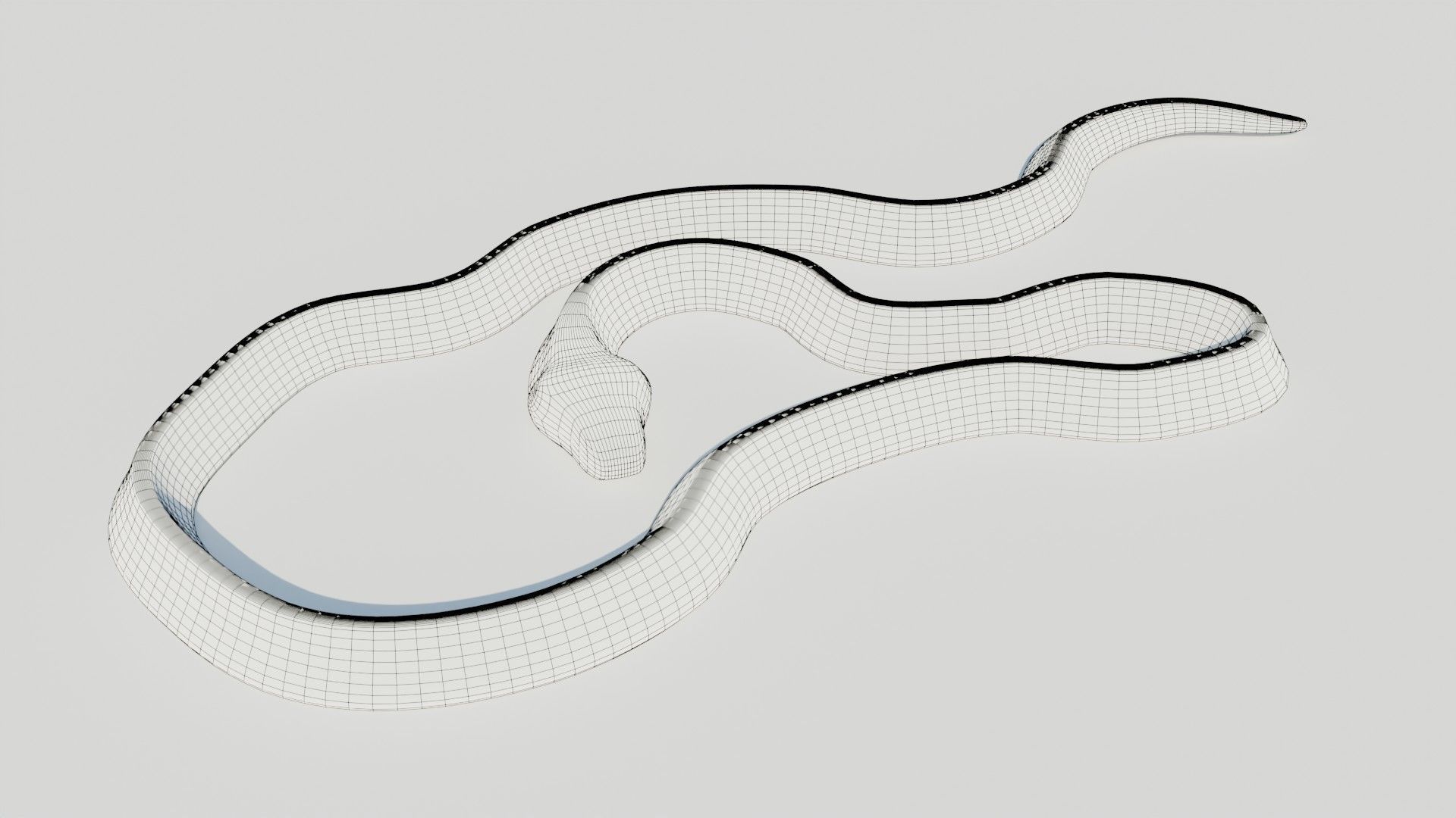 Rigged Banded Krait - Game Ready - PBR Low-poly 3D model_9