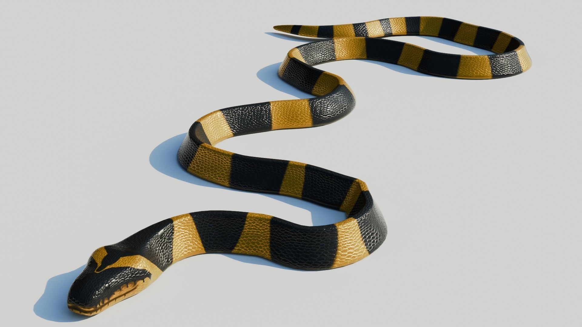 Rigged Banded Krait - Game Ready - PBR Low-poly 3D model_4