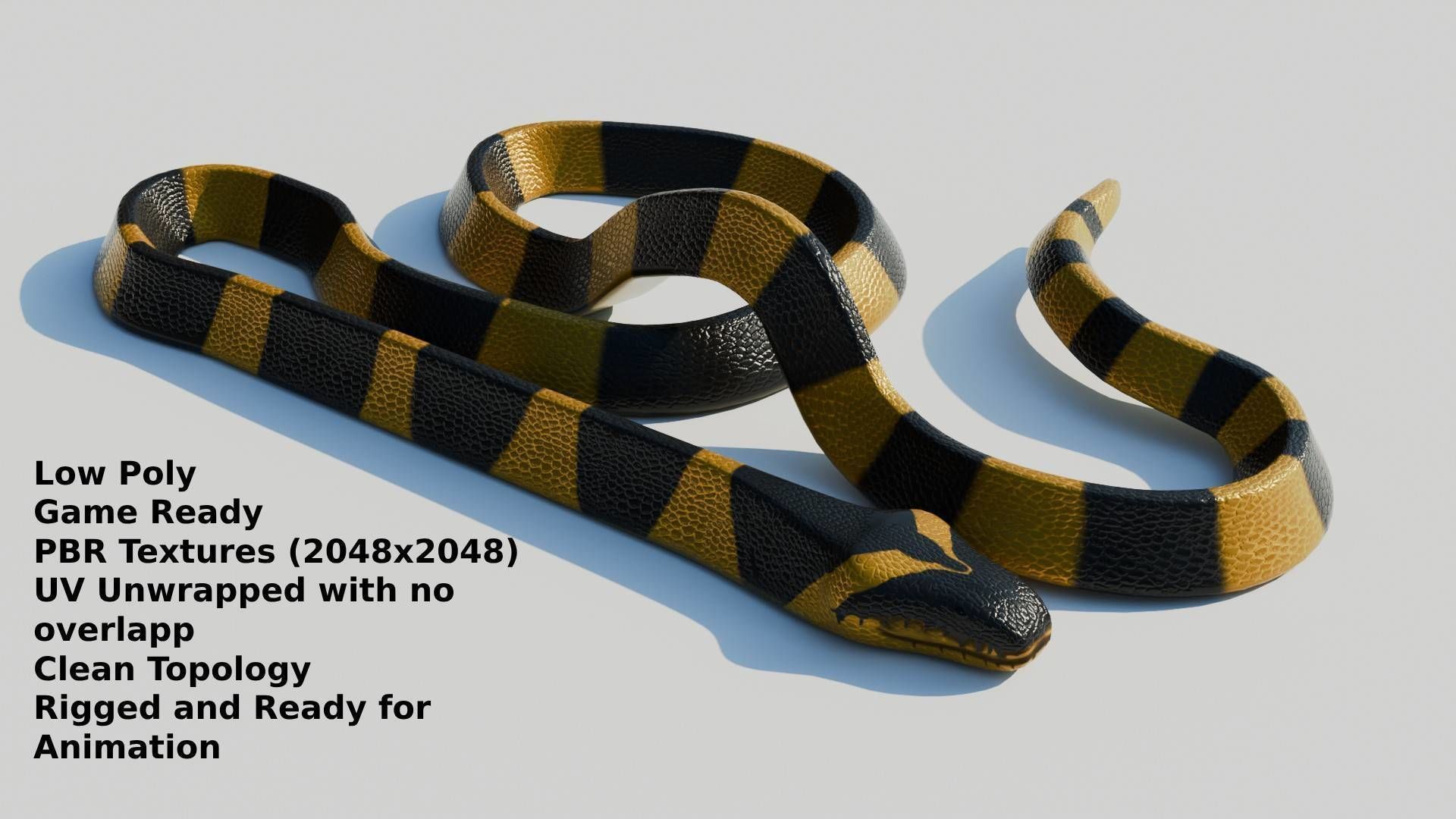 Rigged Banded Krait - Game Ready - PBR Low-poly 3D model_1
