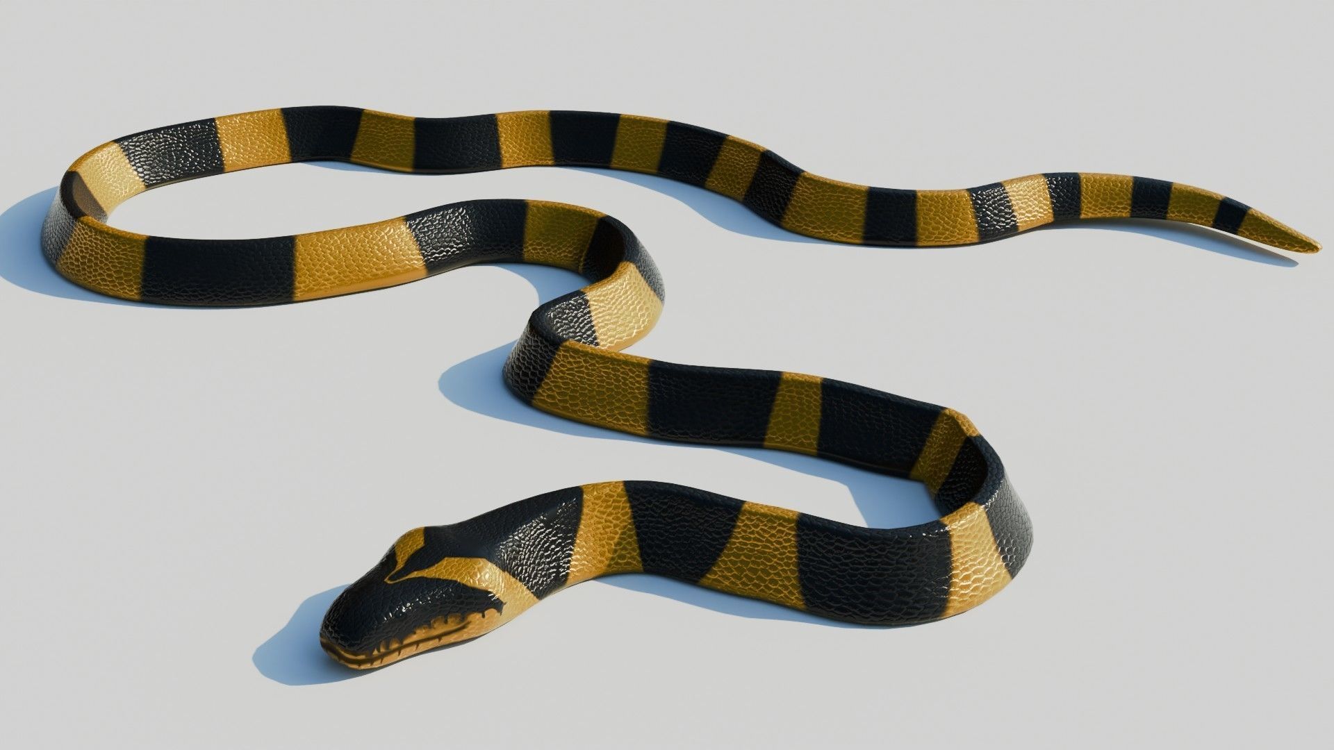 Rigged Banded Krait - Game Ready - PBR Low-poly 3D model_3