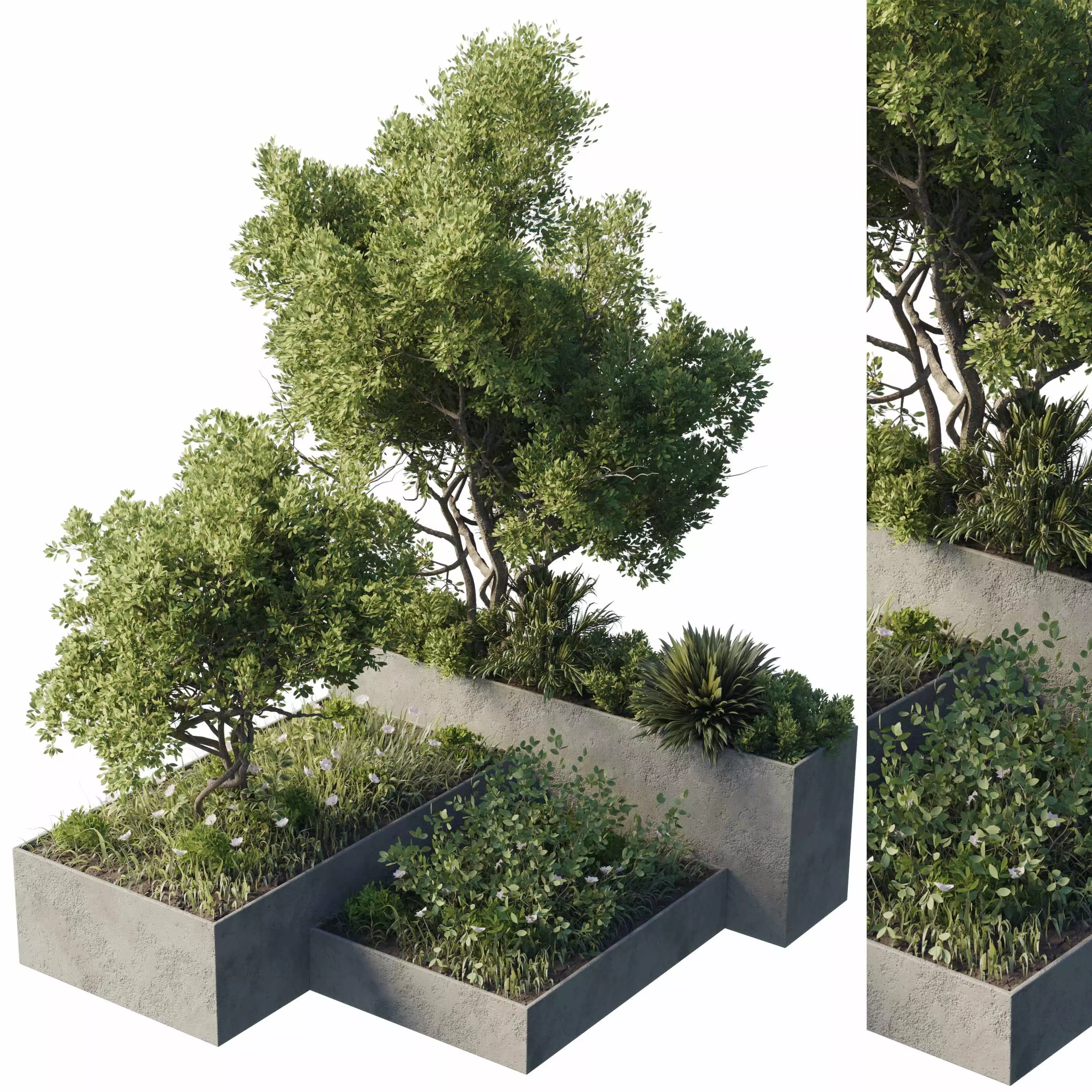 concrete box plants on stand - set outdoor plant 191 3D model_0