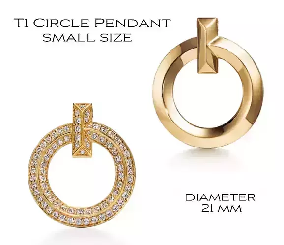 T1 Circle Small Pendant Necklace