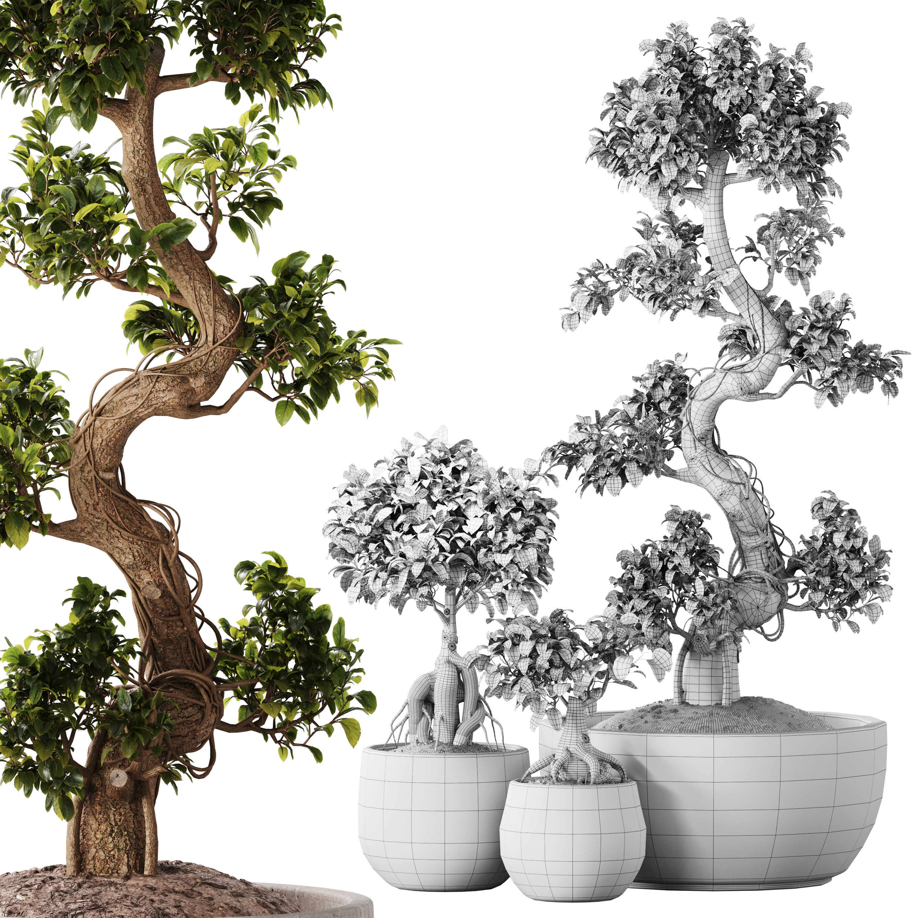 Bonsai Set 07 3D model_1