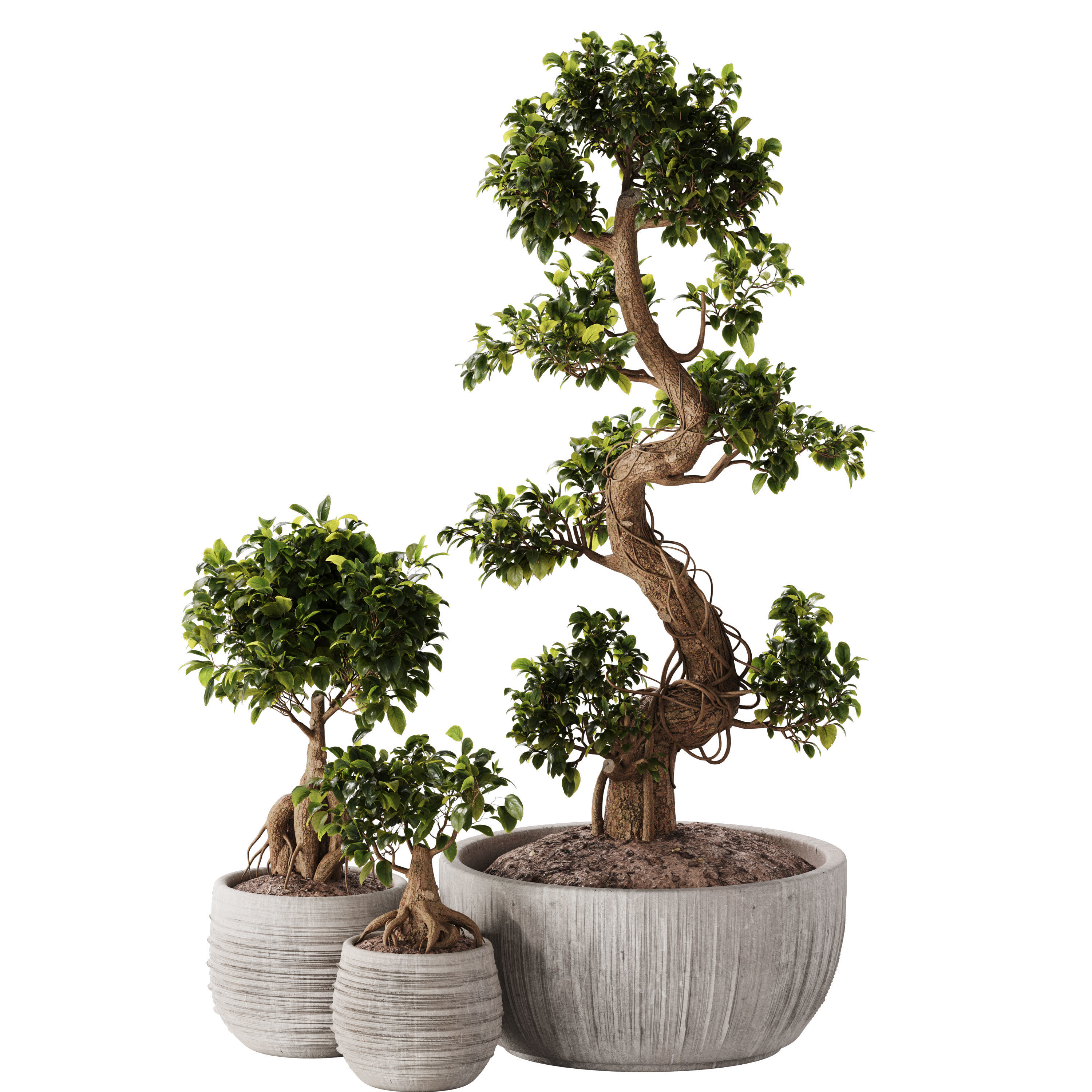 Bonsai Set 07 3D model_3