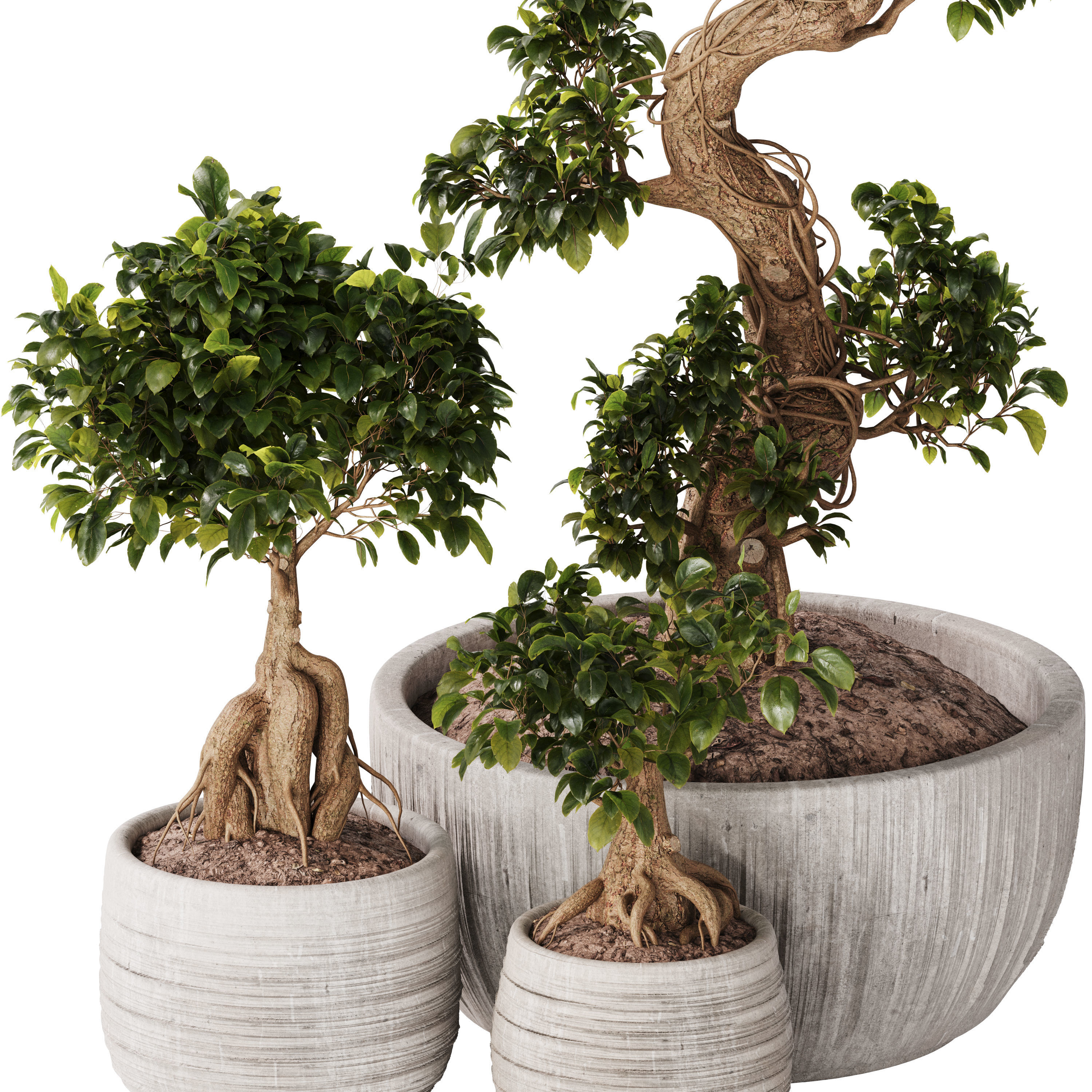 Bonsai Set 07 3D model_2