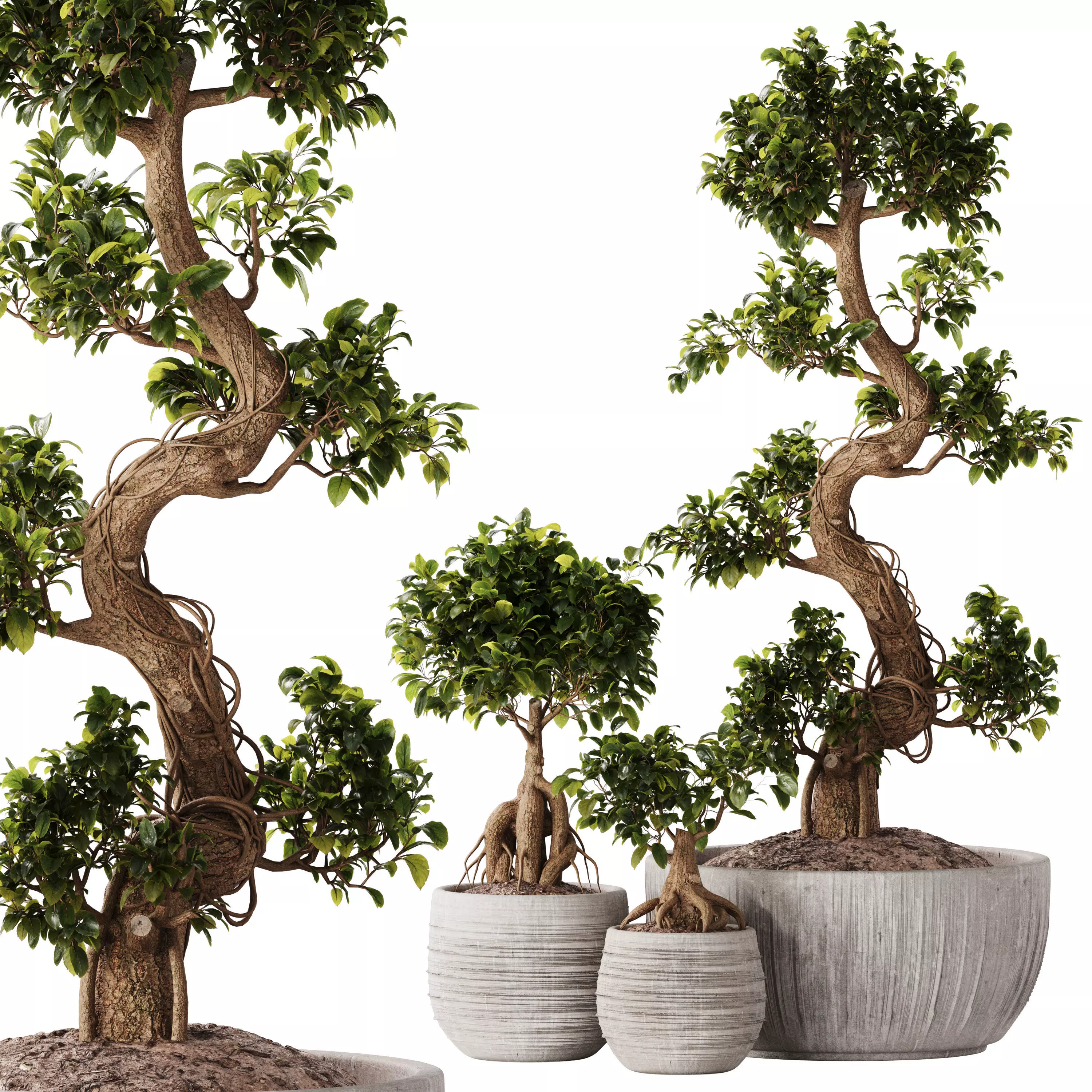 Bonsai Set 07 3D model_0