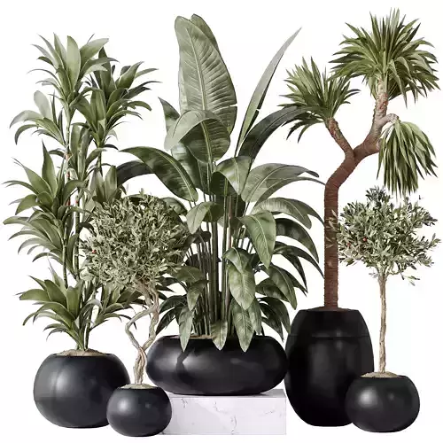 Indoor plant set 47 3D model