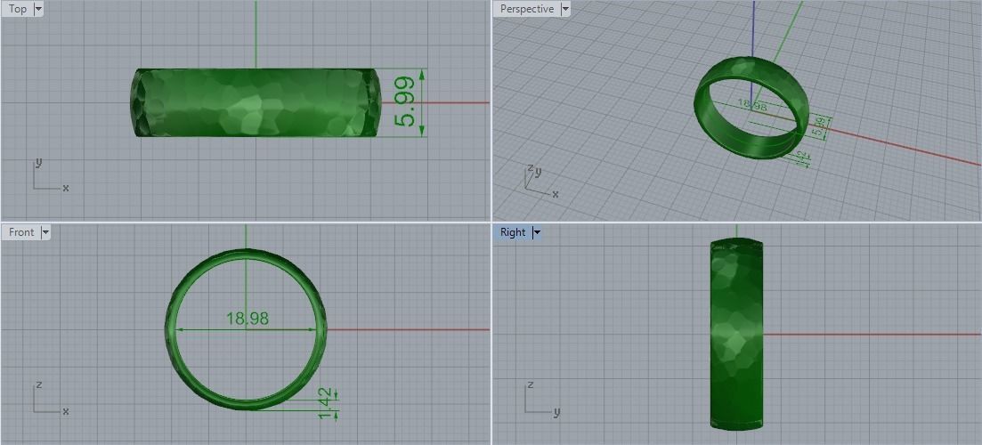 Ring Model 5327 3D print model_6