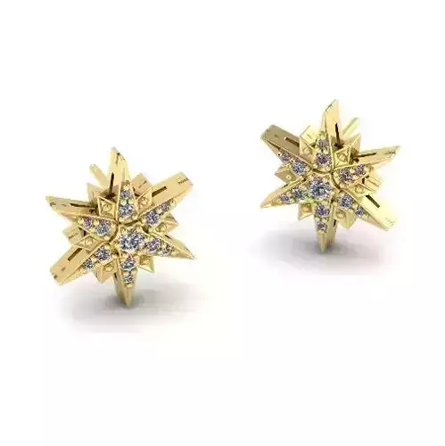 Stern earrings Model 5320