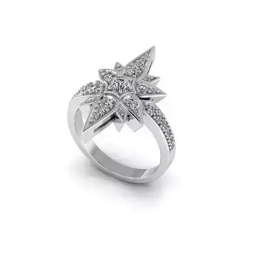 Shtern ring Model 5319