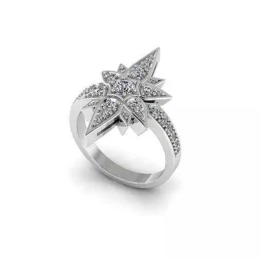 Shtern ring Model 5319 3D print model_0