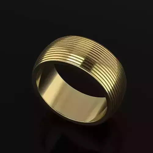 Ring Model 5295