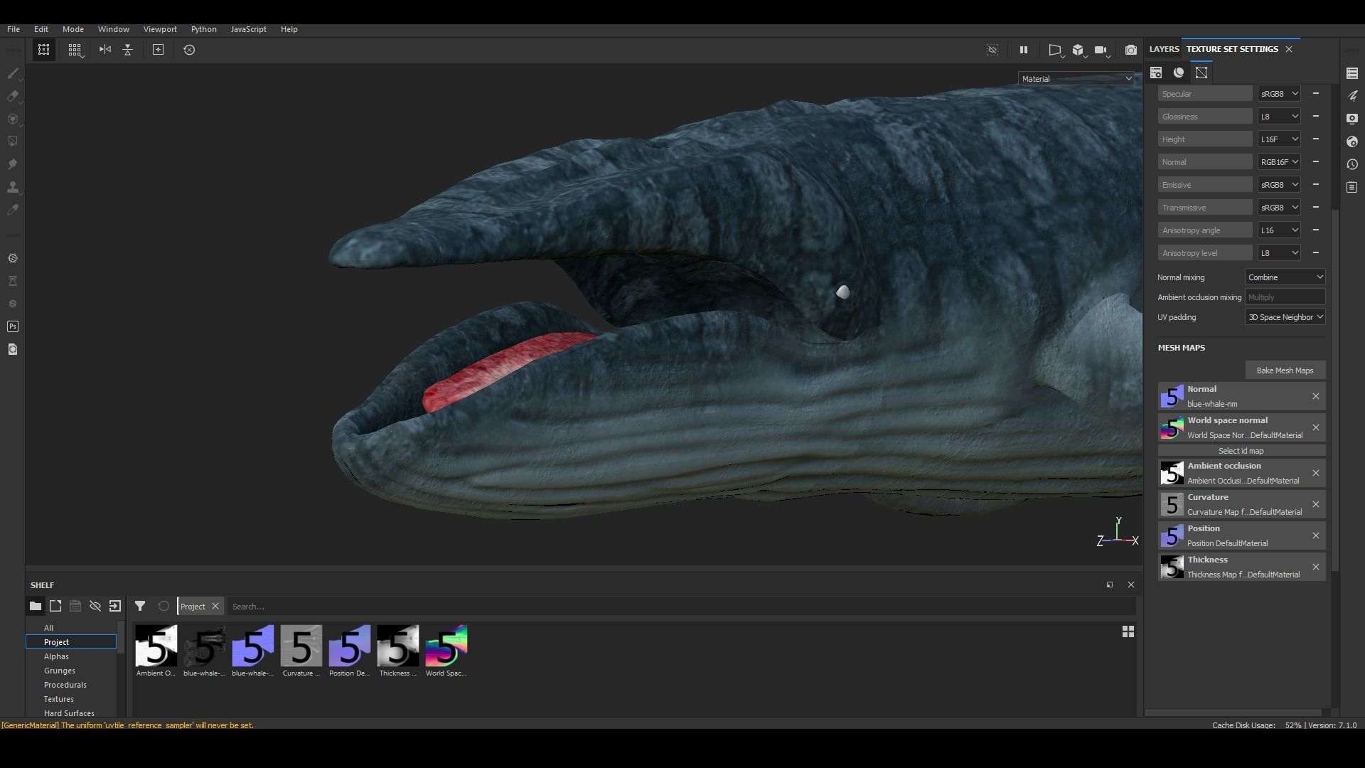 Realistic Blue Whale Rigged Low-poly 3D model_24