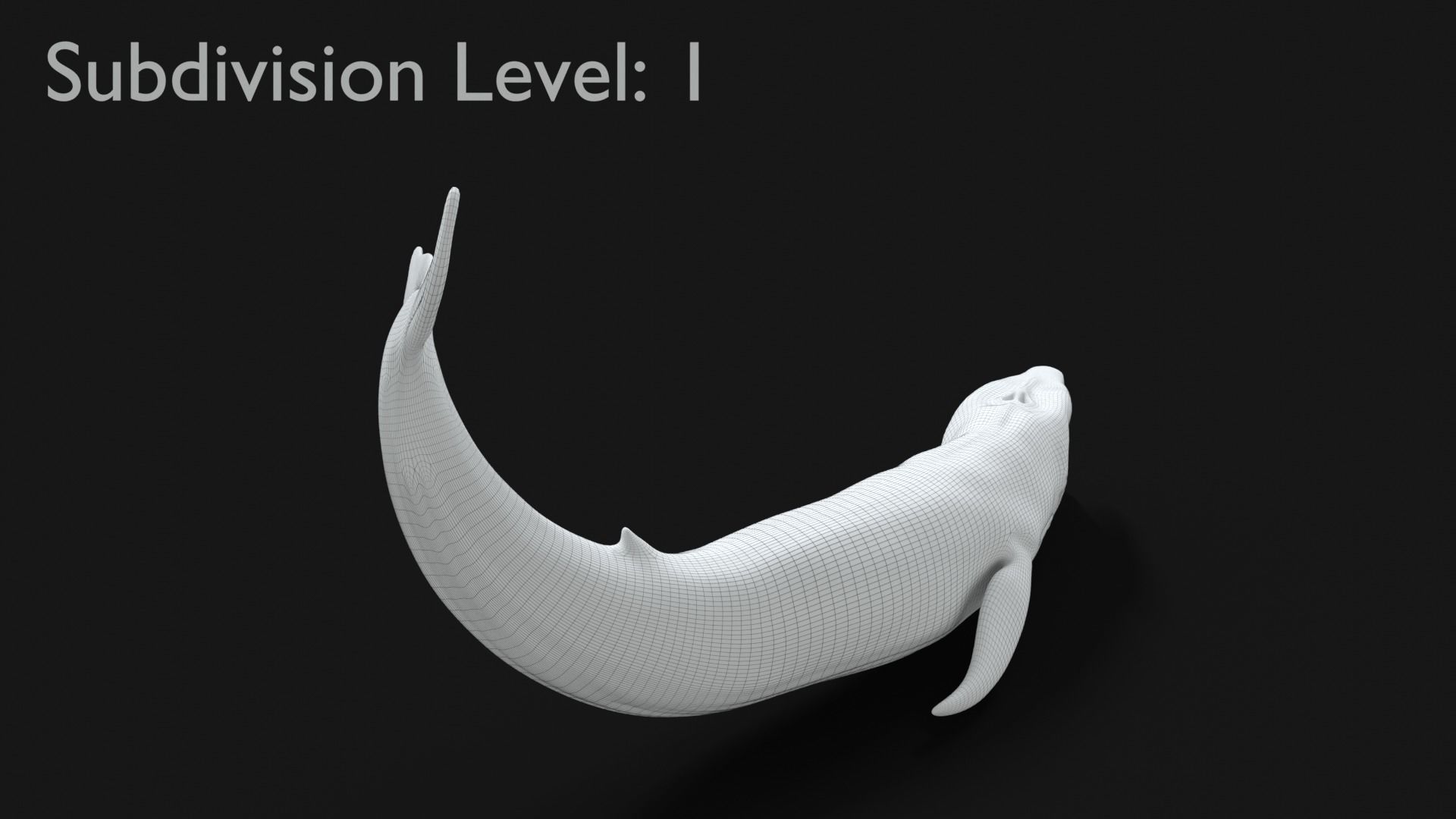Realistic Blue Whale Rigged Low-poly 3D model_17