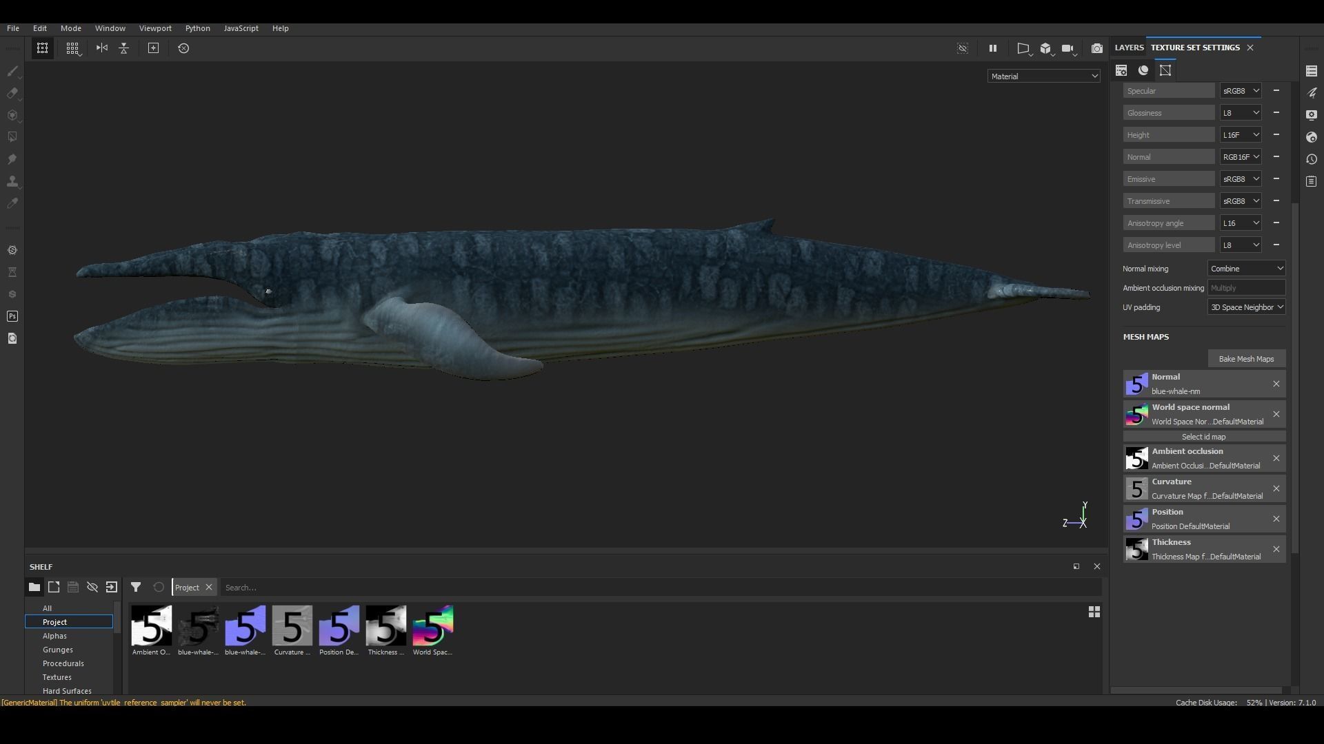 Realistic Blue Whale Rigged Low-poly 3D model_26